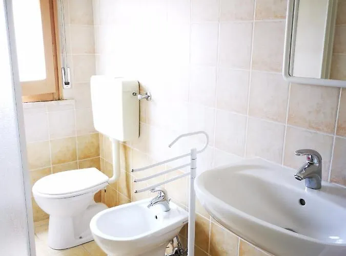 Rosa تّشيرفييا